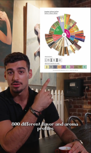 Flavour & aroma profiles